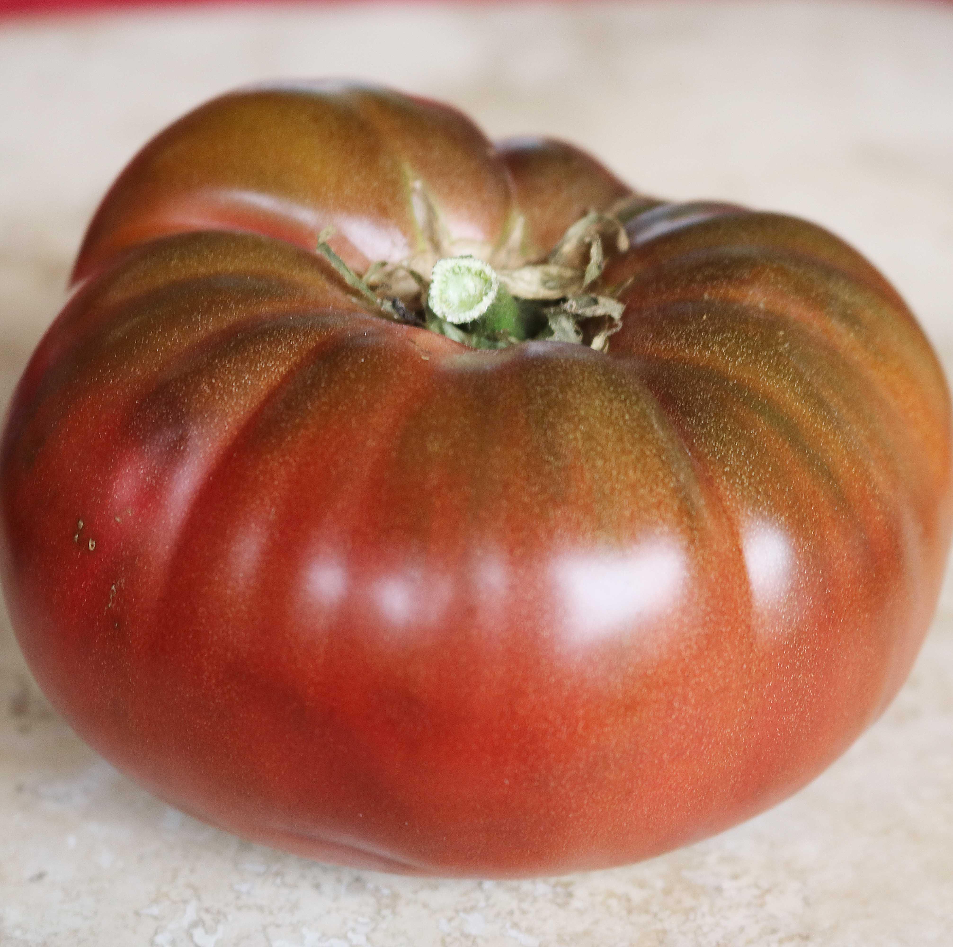 Tomato, Cherokee Purple