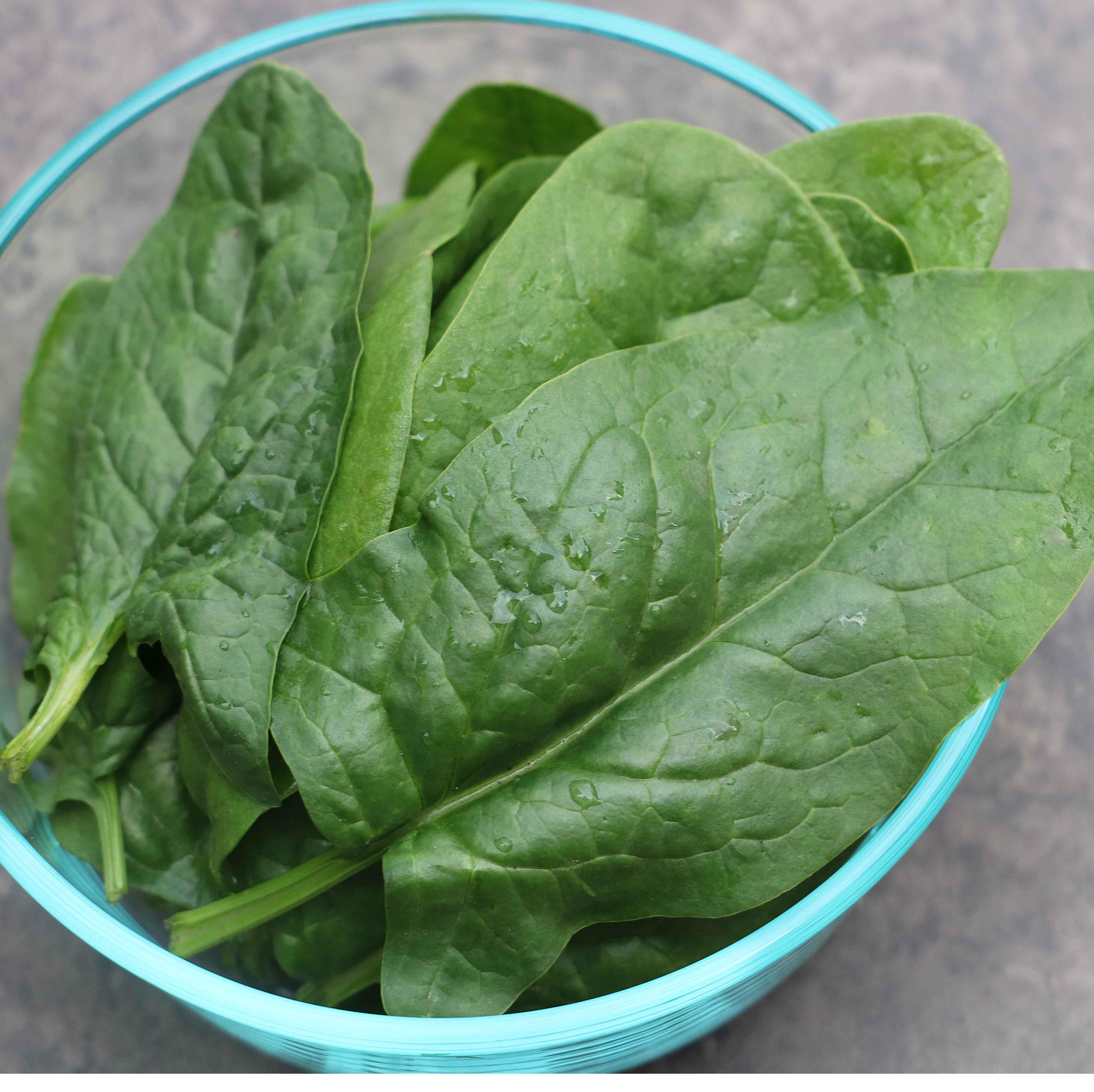 Bloomsdale Spinach