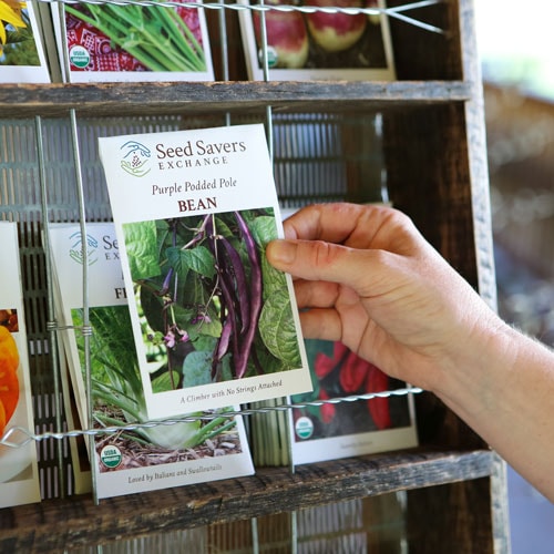 Seed Rack Locations